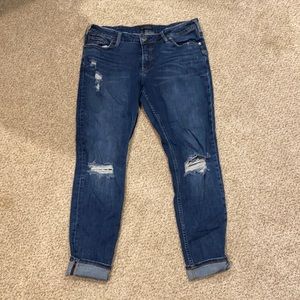 Silver Jeans Suki Skinny